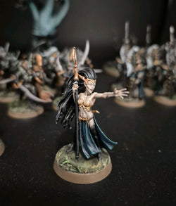 Well Painted Dark Elf Elves Army - Warhammer AoS Anvilgard