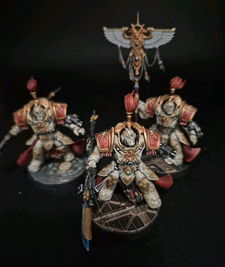 Pro Painted Adeptus Custodes Army - Warhammer 40k