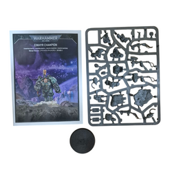 Einhyr Champion (NOS)