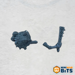chameleon skink single moonstone club & shield bits