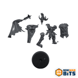 Chaos Warrior Aspiring Champion Single Figure Bits