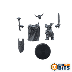 Chaos Warrior Single Figure Bits