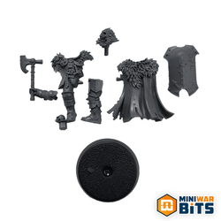 Chaos Warrior Single Figure Bits