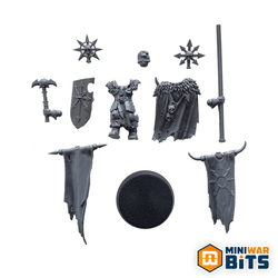 Chaos Warrior Standard Bearer Single Figure Bits