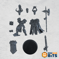 chaos warriors aspiring champion single figure