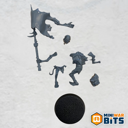 cryptguard standard bearer single figure (1)