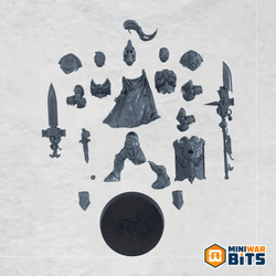 custodian guard squad shield-captain single figure