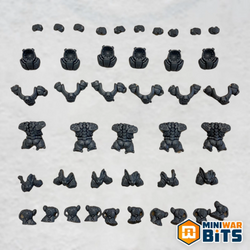 einhyr hearthguard torso & leg bits