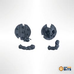 gors shield & arm bits