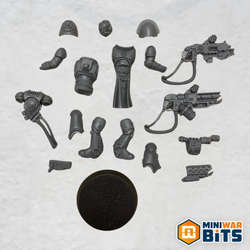 sternguard veteran single figure w heavy bolter & pyrecannon