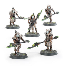 Triarch Praetorians / Lychguard (NOS)