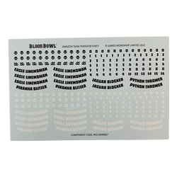 amazon team decal transfer sheet