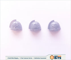 Dark Angel Space Marine Aggressors Shoulder Pad Bits