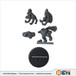 Dwarf Giants Blitzer Bits