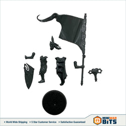 Eternal Guard Standard Bearer Single Model Bits
