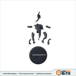 Naggaroth Nightmares Dark Elf Lineman 1 Single Figure Bits