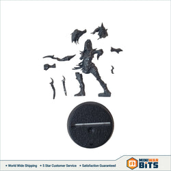 Naggaroth Nightmares Witch Elf Single Figure Bits
