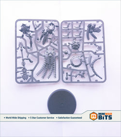 Necron Cryptek On Conoptek Scarab Single Figure Bits