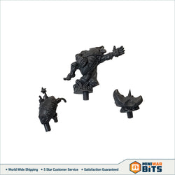 Scarcrag Snivellers Goblin Team Ball Bits