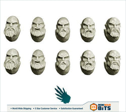 Space Knights Heads With Beards Bits
