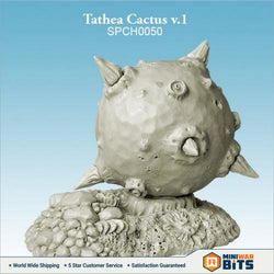 Tathea Cactus V.1 Bits