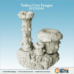 Tathea Cyst Fungus Bits