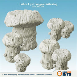 Tathea Cyst Fungus Gathering Bits