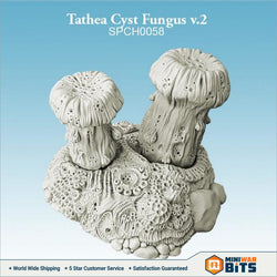 Tathea Cyst Fungus V.2 Bits