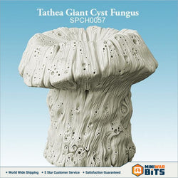 Tathea Giant Cyst Fungus Bits