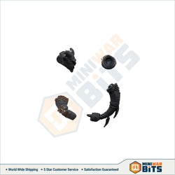 Ungor Brayhorn Musician Upgrade Bits