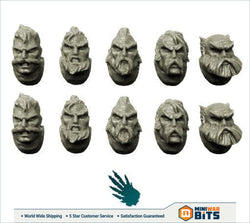 Wolves Space Knights Heads Bits